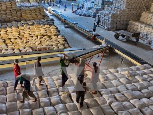 Xuất khẩu gạo cả năm 2017 có thể đạt 5,6 triệu tấn. Ảnh minh hoạ: TTXVN