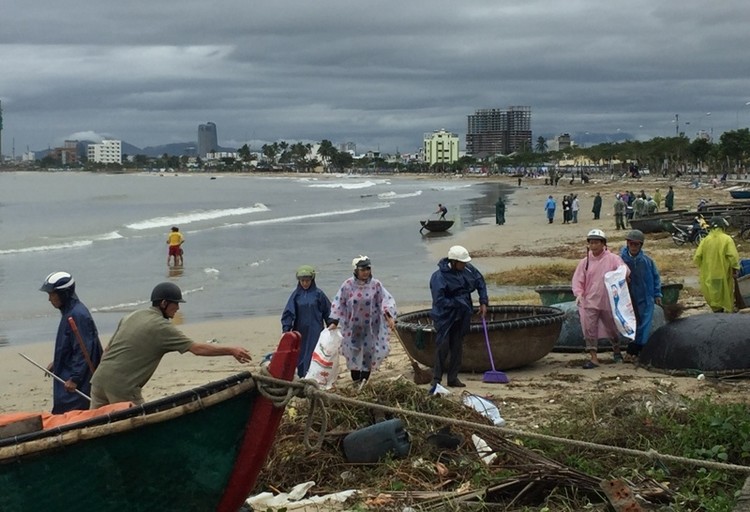 Cán bộ nhân dân Sơn Trà thu gom rác tại bãi biển