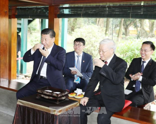 Tổng Bí thư Nguyễn Phú Trọng mời Tổng Bí thư, Chủ tịch Trung Quốc Tập Cận Bình thưởng thức trà tại Nhà sàn Bác Hồ. Ảnh: TTXVN