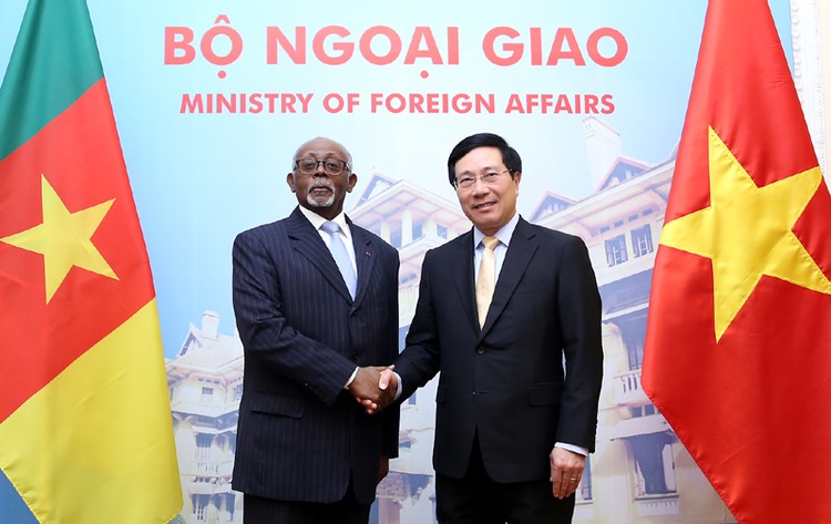 Phó Thủ tướng Phạm Bình Minh và Bộ trưởng Ngoại giao Cộng hòa Cameroon Lejeune Mbela Mbela. Ảnh: VGP