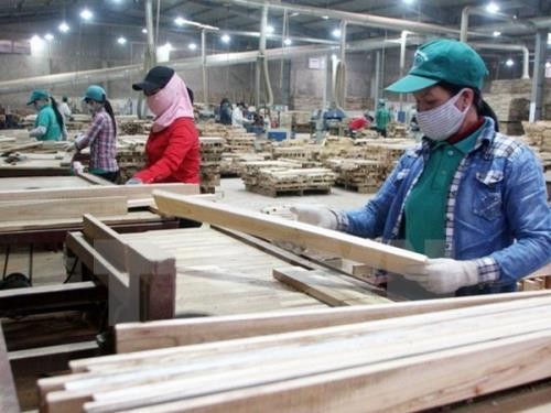 Ngành gỗ Việt Nam có nhiều điều kiện thuận lợi để hoàn thành mục tiêu đạt kim ngạch xuất khẩu 8 tỷ USD. Ảnh minh họa: TTXVN