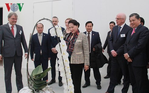 Chủ tịch Quốc hội tham quan mô hình trồng hoa tại Trung tâm Nông nghiệp công nghệ cao.