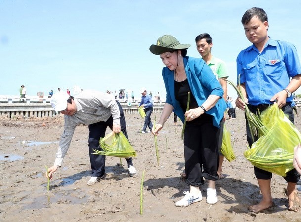 Chủ tịch Quốc hội tham gia trồng cây ở xóm Mũi, xã Đất Mũi. Ảnh: TTXVN