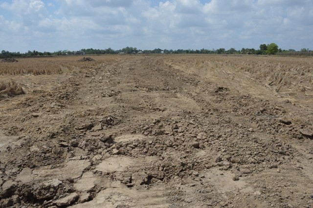 Hàng trăm ha đất công ở Cà Mau được cho thuê, mượn không đúng quy định. Ảnh minh họa