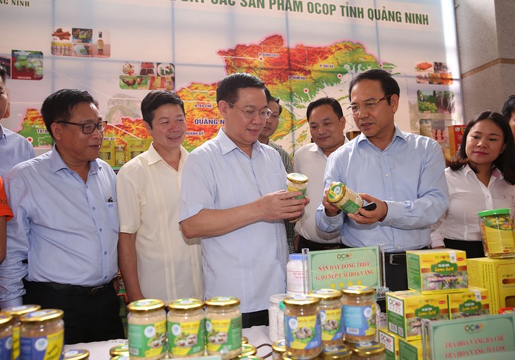 Phó Thủ tướng Vương Đình Huệ thăm quan trưng bày các sản phẩm OCOP. Ảnh VGP