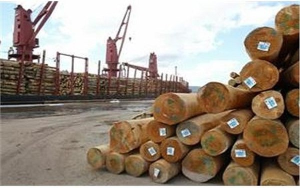 Cáo buộc được cho là vô căn cứ của EIA có thể ảnh hưởng xấu đến xuất khẩu gỗ của Việt Nam (Ảnh minh họa/VOV)