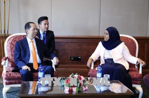 Chủ tịch nước Trần Đại Quang đã có cuộc hội kiến với Chủ tịch Thượng viện Ethiopia, bà Keria Ibrahim.