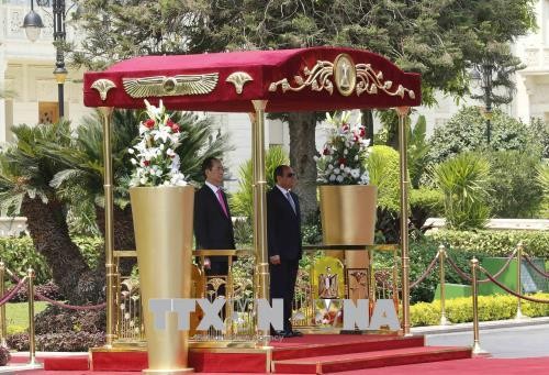 Chủ tịch nước Trần Đại Quang và Tổng thống Ai Cập Abdel Fattah Al Sisi tại lễ đón