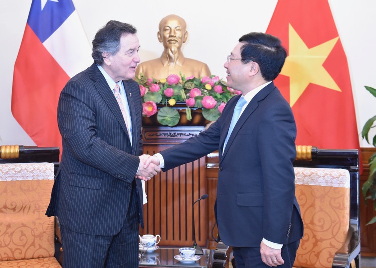 Phó Thủ tướng Phạm Bình Minh tiếp Bộ trưởng Ngoại giao Chile. Ảnh: VGP