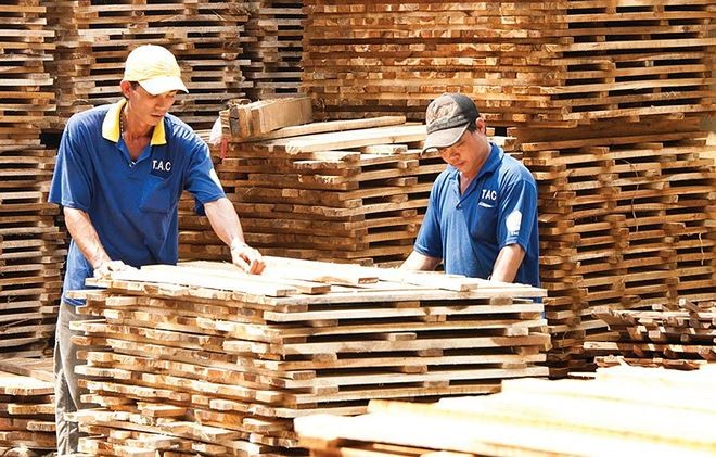 Công nghiệp Cao su Việt Nam (GVR): Lợi nhuận quý III giảm mạnh