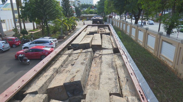 Hàng chục khối gỗ lậu được chất đầy trên 2 chiếc xe tải
