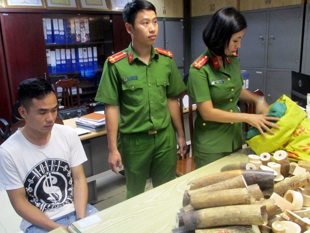 Cảnh sát kiểm đếm số nga voi thu giữ của Nguyễn Hữu Tiễn.