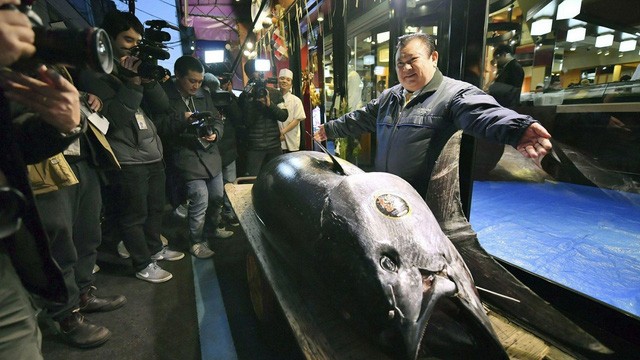 Ông Kimura đứng cạnh con cá ngừ vây xanh giá kỷ lục gần 70 tỷ đồng. (Nguồn: Koki Sengoku/Kyodo News via AP)