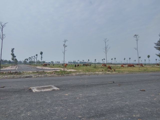Thủ tướng yêu cầu kiểm tra, xử lý dự án hơn 2.000ha bỏ hoang tại Hà Nội