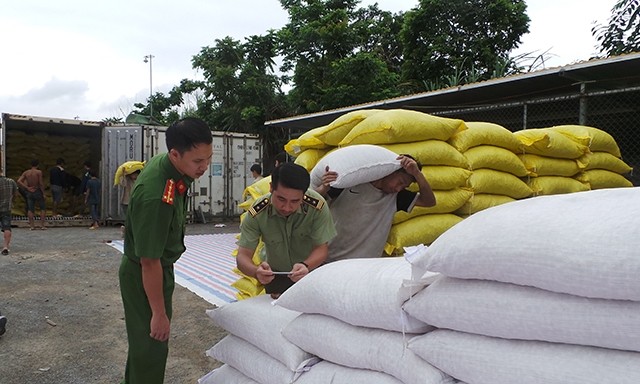 Lực lượng chức năng kiểm tra 16 container chứa 440 tấn hạt dẻ nhập lậu. Ảnh: Báo Nhân dân