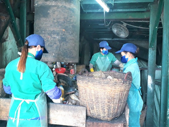 Các công nhân phân loại rác trong Nhà máy xử lý rác thải TP Cà Mau