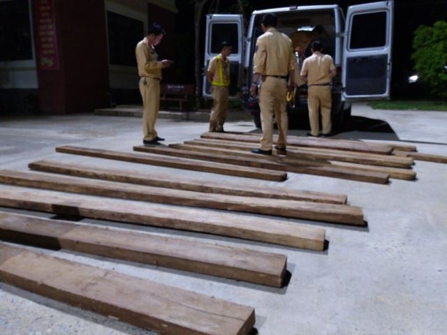 30 hộp gỗ táu bị bắt giữ.