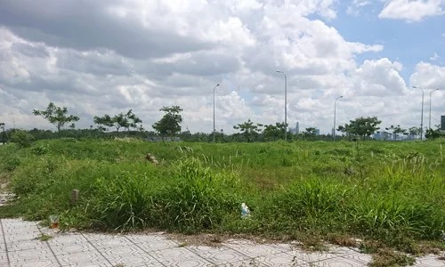 Đất nền dự án tại khu Đông TP HCM.