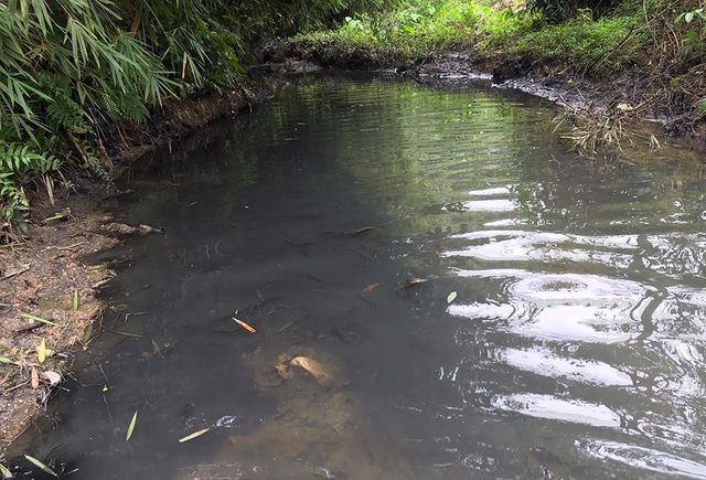 Dầu thải gây đen ngòm nước đầu nguồn sông Đà dẫn đến ô nhiễm nặng