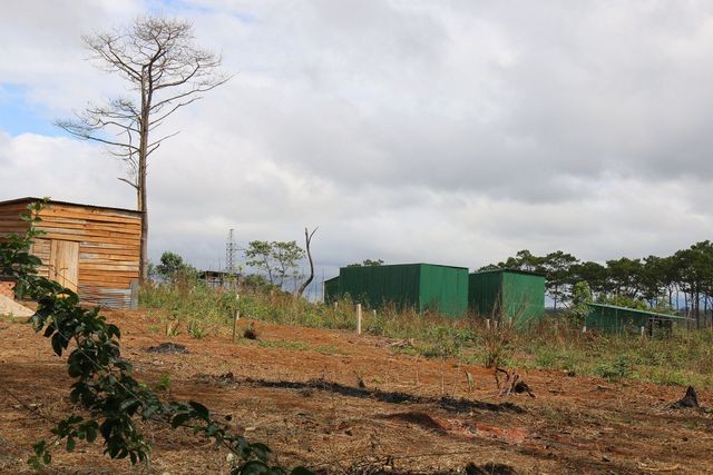 Hàng loạt ngôi nhà tạm được dựng lên bất hợp pháp giữa rừng tại xã Quảng Sơn