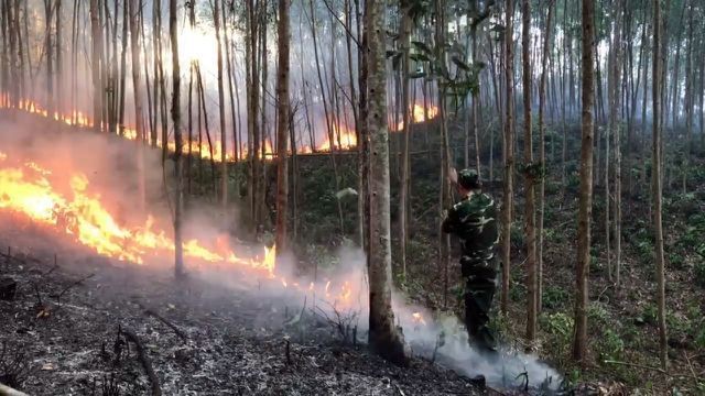 Lực lượng chức năng tham gia cứu hỏa trong vụ cháy rừng do ông Ngọc gây ra