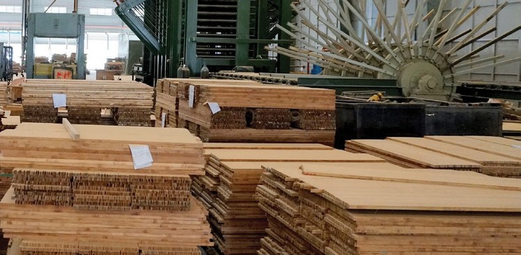 Nhà máy chế biến gỗ của SJF. Ảnh Internet