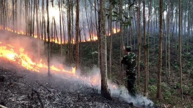 Vụ cháy rừng ở huyện Tây Hòa do ông Ngọc gây ra
