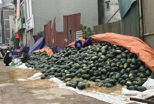 Hàng chục tấn dưa hấu được bày bán la liệt ở vỉa hè Hà Nội do các cửa khẩu giao thương với Trung Quốc tạm thời đóng cửa trước đại dịch virus corona.