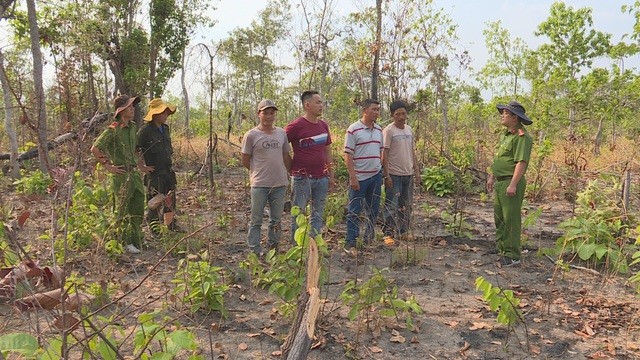 Các đối tượng phá rừng làm nương rẫy tại huyện Ea Súp