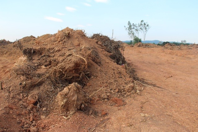 Hàng ngàn m3 đất  lâm nghiệp bị khai thác trái phép.
