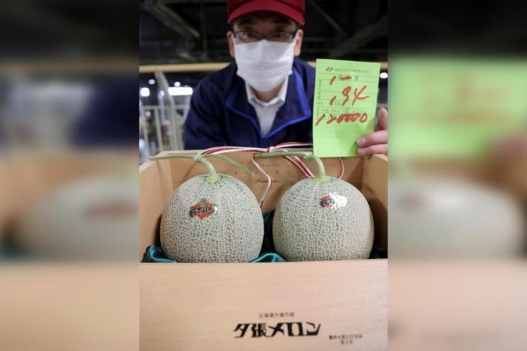 Cặp dưa lưới Nhật Bản được bán với giá 120.000 yen tại buổi đấu giá đầu tiên của năm nay. Ảnh: AFP