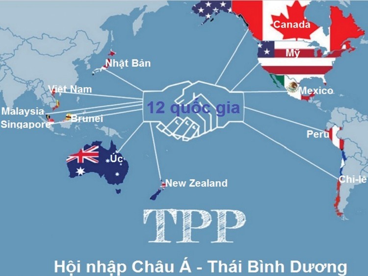 Nhiều tổ chức quốc tế nhận định, Việt Nam sẽ là nền kinh tế hưởng lợi nhiều nhất từ TPP