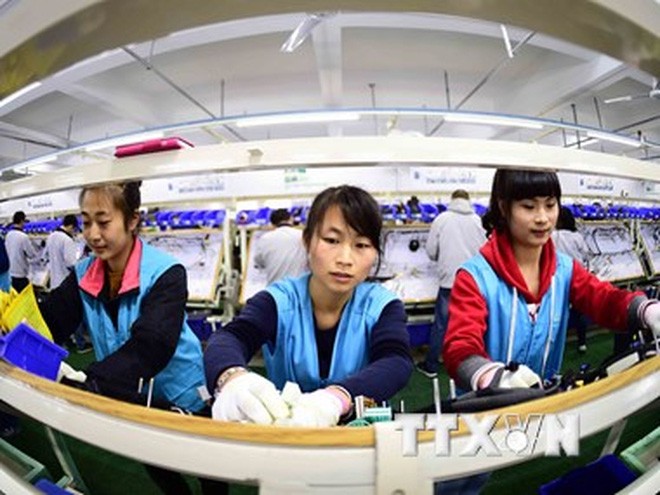Công nhân làm việc tại nhà máy ở Rushan, tỉnh Sơn Đông, miền Đông Trung Quốc ngày 12/11/2015. (Nguồn: THX/TTXVN)