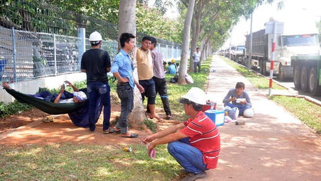 Tài xế ngồi chờ lấy phiếu để nhận thép tại huyện Tân Thành, Bà Rịa - Vũng Tàu - Ảnh: Đông Hà