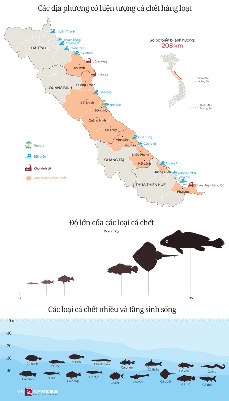 Cá chết lan rộng ở miền Trung thế nào