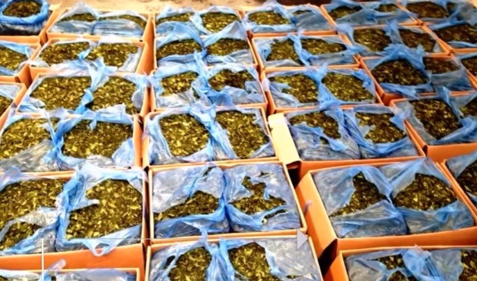 Bắt giữ 336 kg lá khat chứa chất ma túy tại sân bay Tân Sơn Nhất