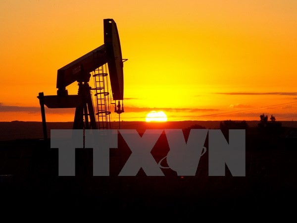 Hệ thống khai thác dầu. (Ảnh: AFP/TTXVN)