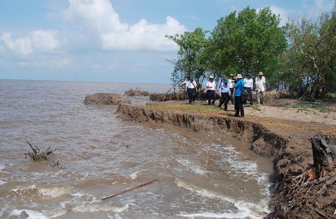 Sạt lở bờ biển do biến đổi khí hậu, nước biển dâng ở Cà Mau