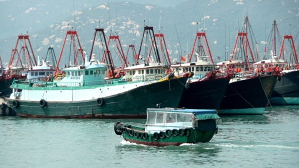 Đội tàu cá cỡ lớn của ngư dân Trung Quốc ở đảo Hải Nam. Ảnh: SCMP
