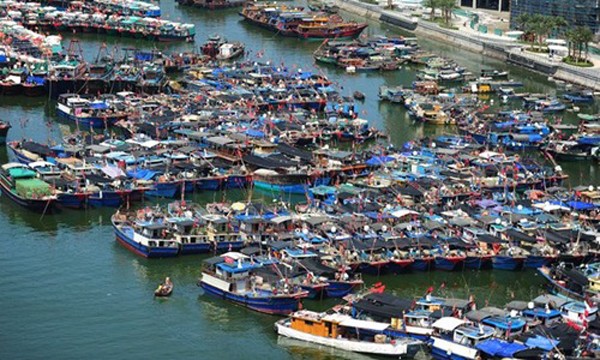Các tàu cá Trung Quốc ở đảo Hải Nam. Ảnh:Xinhua
