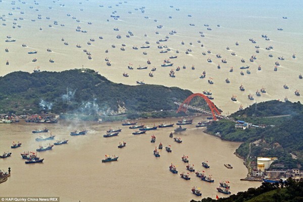 Tàu cá Trung Quốc ở Hải Nam ồ ạt kéo xuống Biển Đông đánh bắt. Ảnh:ChinaNews