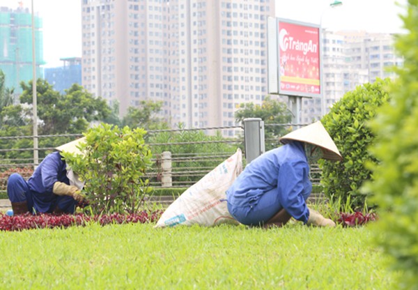 Chi phí cho việc cắt cỏ, cắt tỉa cây hoa cảnh tại đại lộ Thăng Long đang thu hút sự quan tâm dư luận. Ảnh: Ngọc Thành.