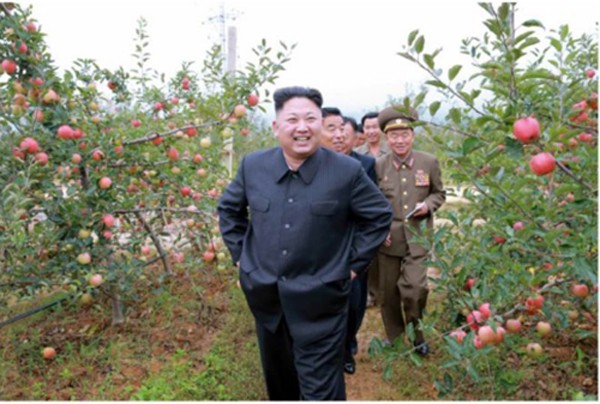 Ông Kim Jong-un đến thăm một nông trại cây ăn quả. Ảnh:Rodong Sinmun