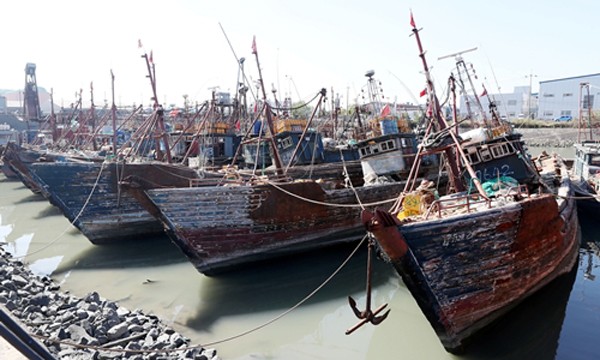 Tàu cá Trung Quốc đánh cá trái phép bị tuần duyên Hàn Quốc bắt neo tại cảng ở Incheon, Hàn Quốc, ngày 10/10. Ảnh: Reuters.