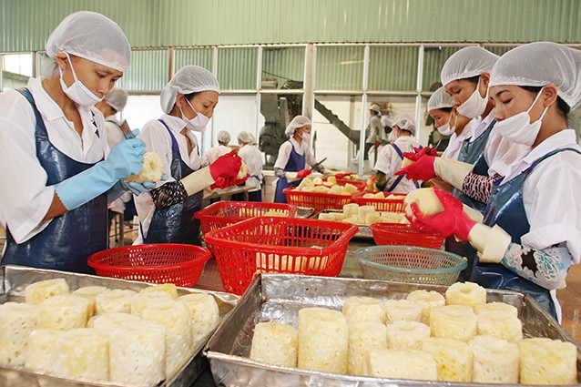 Hơn 400 doanh nghiệp tham gia Vietnam Foodexpo 2016