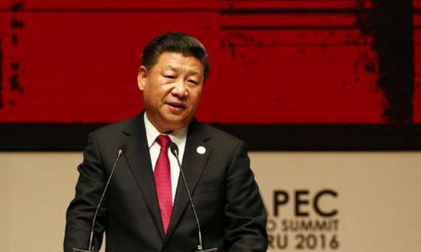 Chủ tịch Trung Quốc Tập Cận Bình dự APEC tại Peru. Ảnh:Reuters