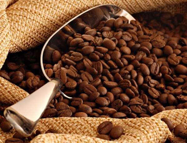 Đức là thịtrường lớn nhất của cà phê xuất khẩu Việt Nam.Ảnh: vietnamcoffee