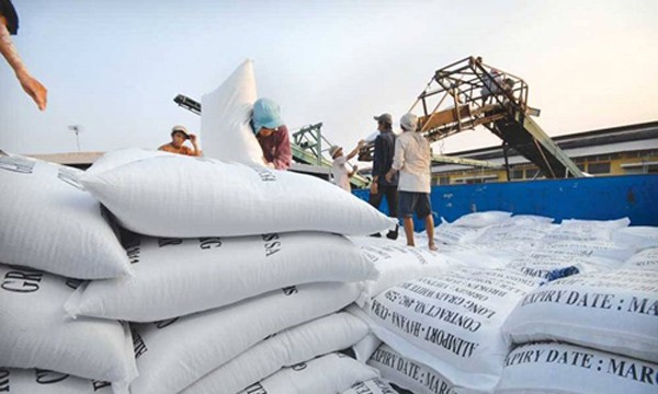Bộ Công Thương khẳng định việc doanh nghiệp phản ánh phải mất 20.000 nếu muốn có giấy chứng nhận xuất khẩu gạo là không đúng sự thật.
