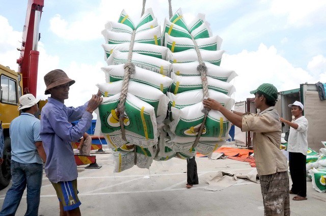 Xuất khẩu gạo đang giảm mạnh cả lượng và giá (ảnh minh hoạ)