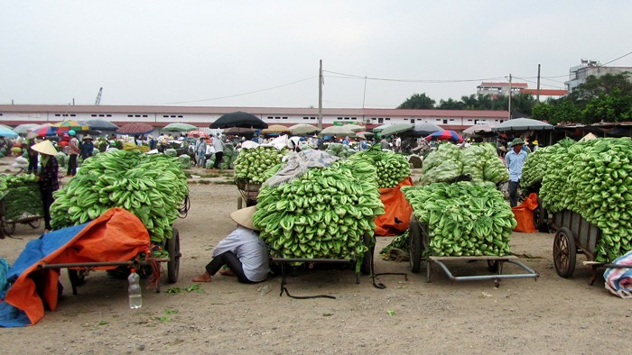 Chợ đầu mối tổng hợp hoa quả và nông thủy sản Phù Đổng dự kiến được xây dựng trên diện tích 50 ha. Ảnh: Thanh Nhàn